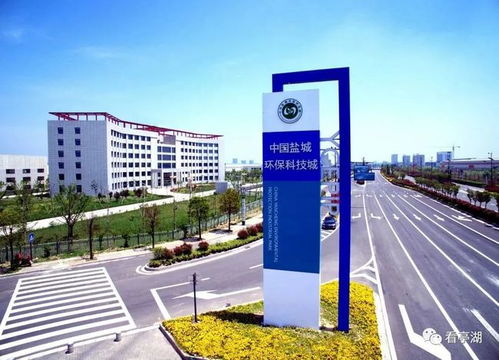 绿色化 高端化 特色化 亭湖产业体系加快提升