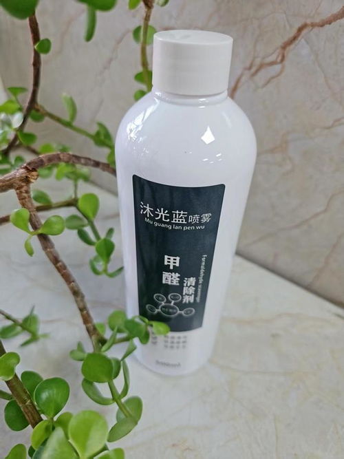 2025年家用除甲醛方法效果大测评 睿容环保等产品深度解析